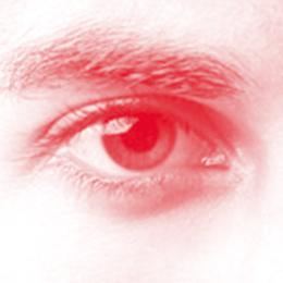 Dokumentation der Fachkonferenz: Männlichkeit im Gleichstellungsprozess