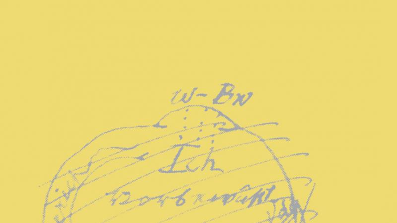 Alte und neue Identitäten. Sigmund-Freud-Vorlesungen 2017